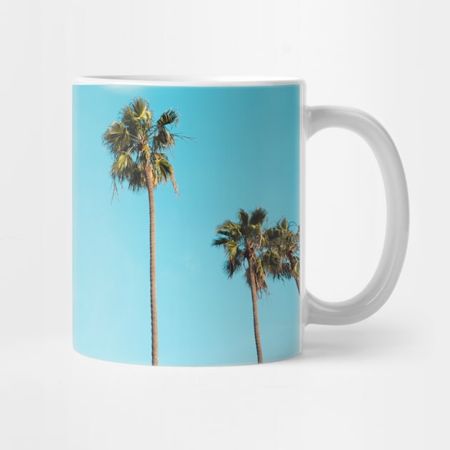 Tropical Palm Trees by NewburyBoutique